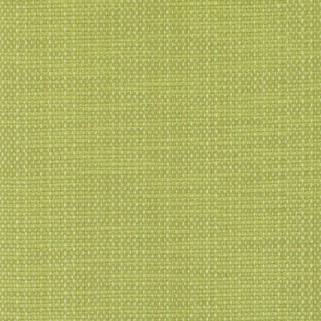 DW16172 | 213-LIME - Upholstery - Fabric