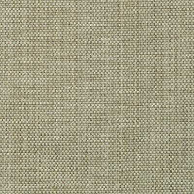 DW16172 | 257-MOSS - Upholstery - Fabric