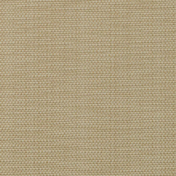DW16172 | 258-MUSTARD - Upholstery - Fabric