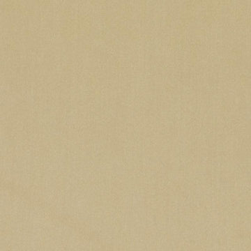 DV15862 | 564-BAMBOO - Upholstery - Fabric