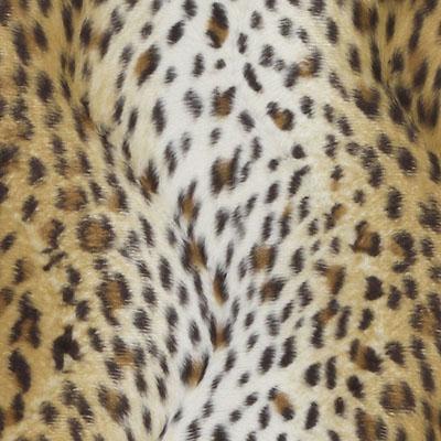 DU15869 | 64-GOLD/BLACK - Upholstery - Fabric