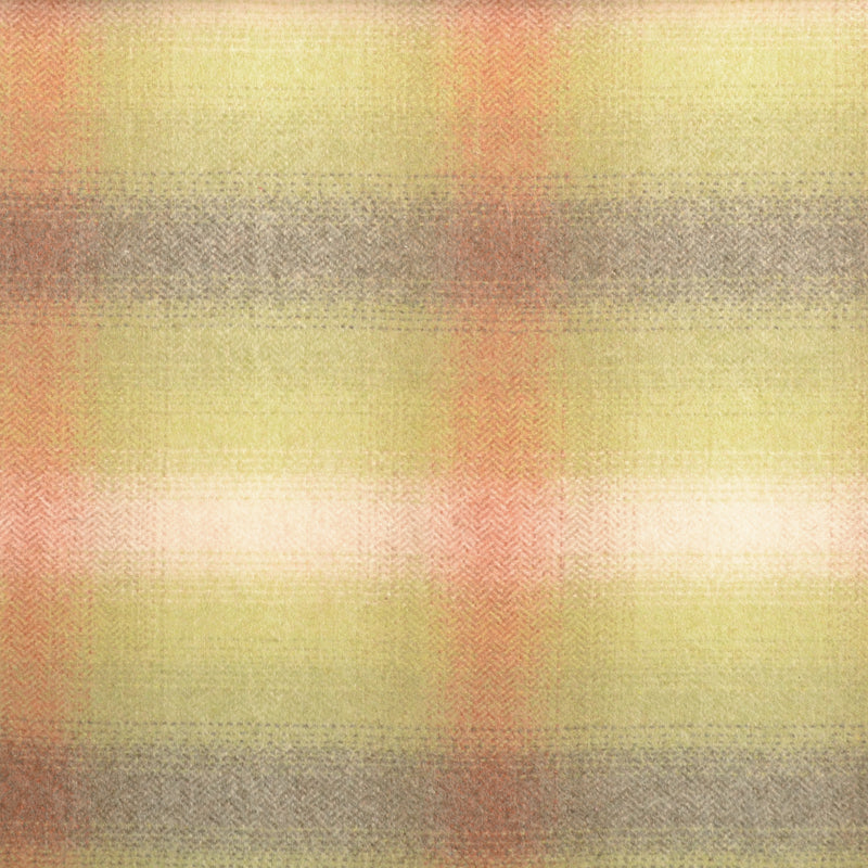 190189H | 343-CACTUS