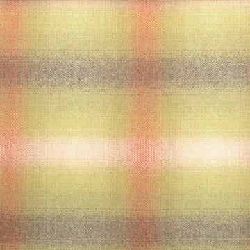 190189H | 343-CACTUS