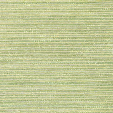 DW16053 | 399-PISTACHIO - Upholstery - Fabric