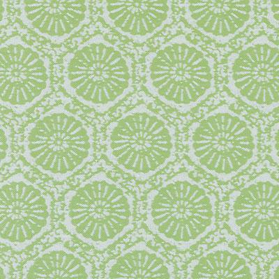 DW16056 | 399-PISTACHIO - Upholstery - Fabric