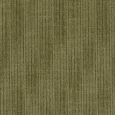 15722 | 354-BASIL - Upholstery - Fabric