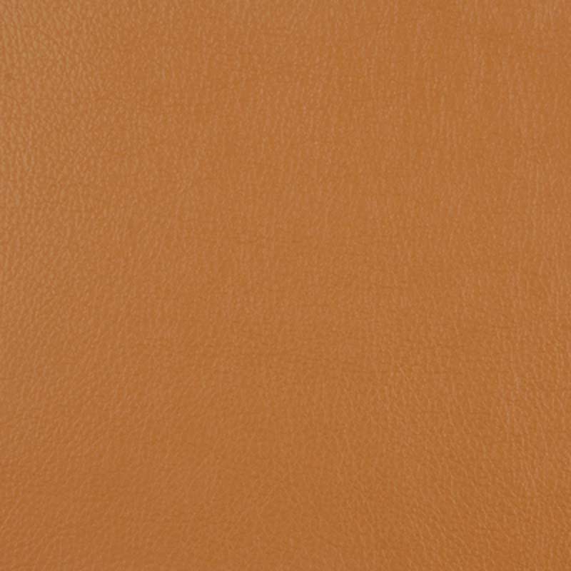 15518 | 598-CAMEL
