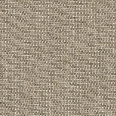 DN15888 | 178-DRIFTWOOD