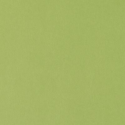 DF15775 | 212-APPLE GREEN - Upholstery - Fabric