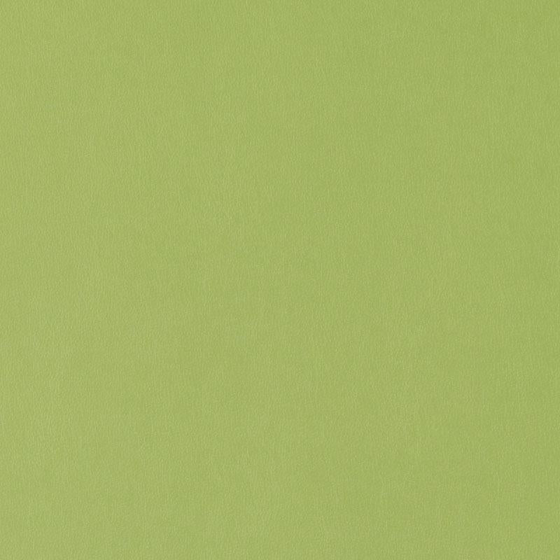 DF15775 | 212-APPLE GREEN - Upholstery - Fabric