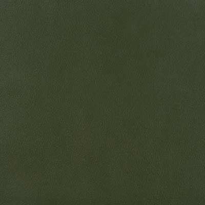 15523 | 370-FIR - Upholstery - Fabric