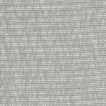 DN15991 | 248-SILVER