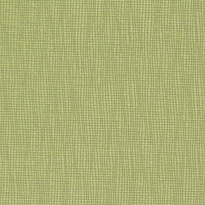 DN15991 | 609-WASABI