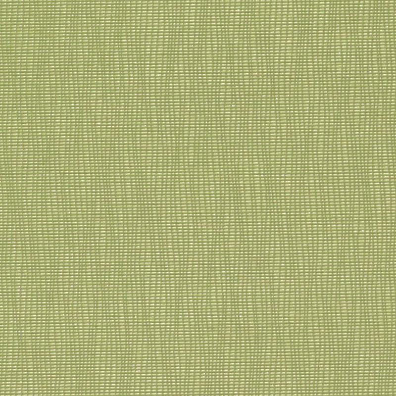 DN15991 | 609-WASABI