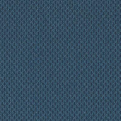 DN15993 | 207-COBALT