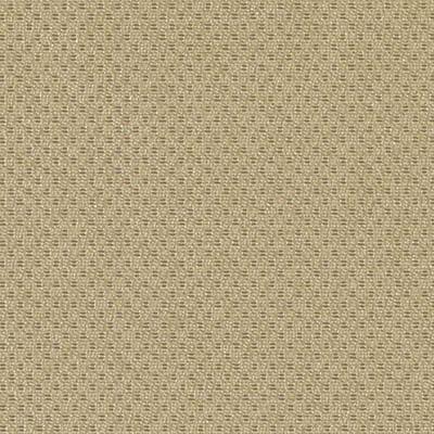 DN15993 | 598-CAMEL