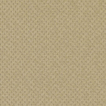 DN15993 | 598-CAMEL