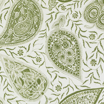 200019H | 303-FERN