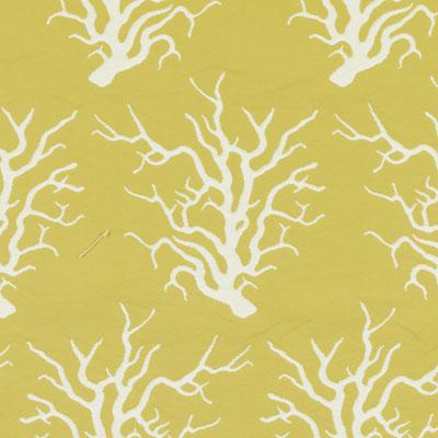 15702 | 268-CANARY