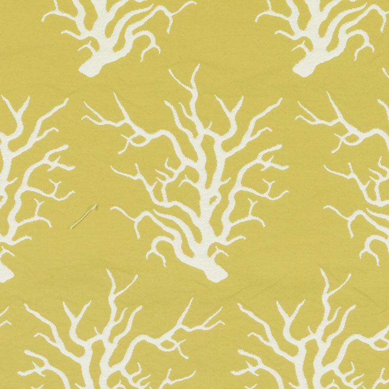 15702 | 268-CANARY