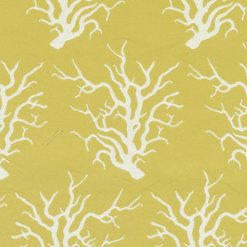 15702 | 268-CANARY