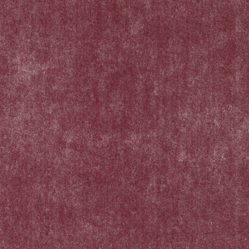 HV15975 | 298-RASPBERRY