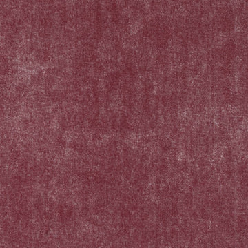 HV15975 | 298-RASPBERRY
