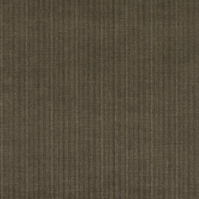 15723 | 319-CHINCHILLA - Upholstery - Fabric