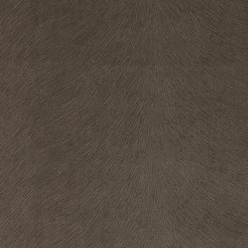 Dv15938 | 319-Chinchilla