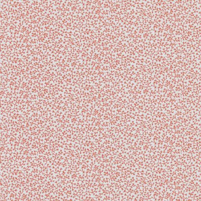 21083 | 31-CORAL - Print - Fabric