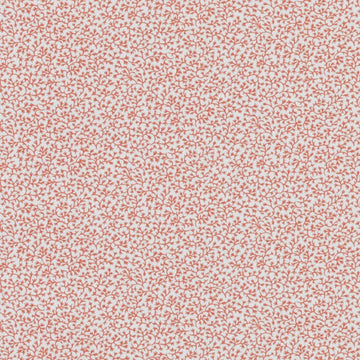 21083 | 31-CORAL - Print - Fabric
