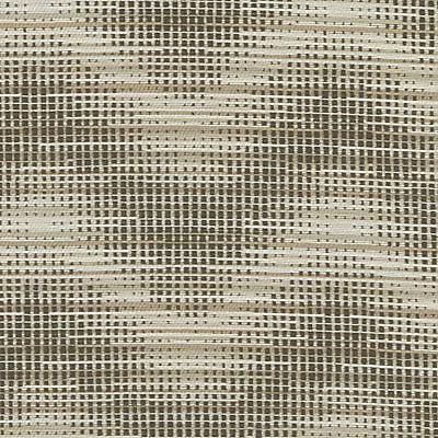 Dn15996 | 587-Latte