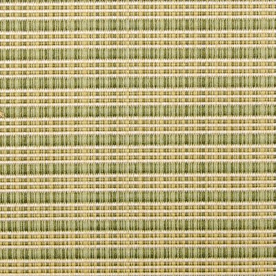 32416 | 343-CACTUS - Upholstery - Fabric