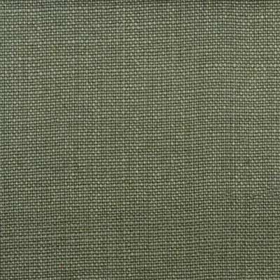 32576 | 303-FERN - Upholstery - Fabric