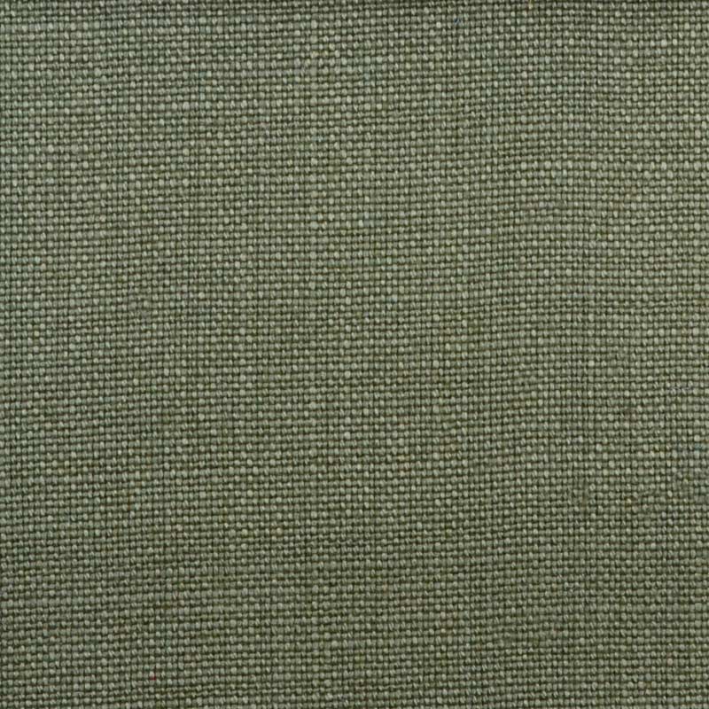 32576 | 303-FERN