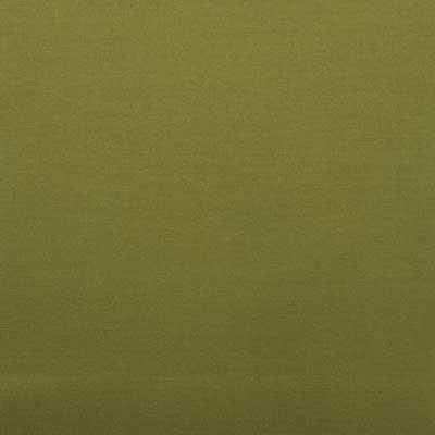 32653 | 303-FERN - Upholstery - Fabric