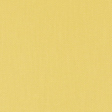 32814 | 539-BANANA - Upholstery - Fabric