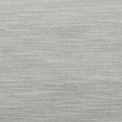 36221 | 562-Platinum - Upholstery - Fabric