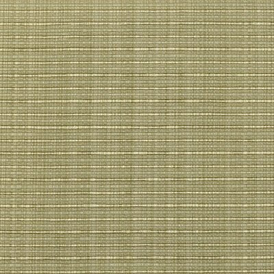 36178 | 254-Spring Gree - Upholstery - Fabric