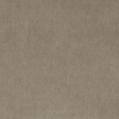 36208 | 319-CHINCHILLA - Upholstery - Fabric