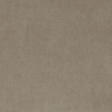 36208 | 319-CHINCHILLA - Upholstery - Fabric