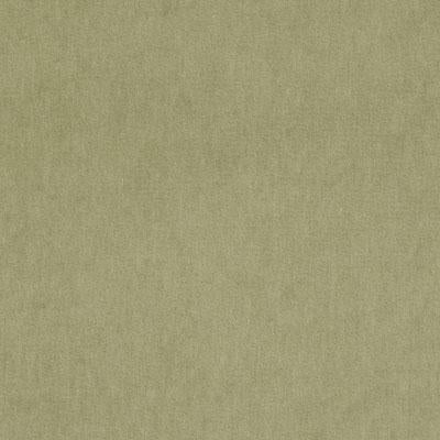 36208 | 343-CACTUS - Upholstery - Fabric