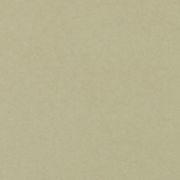 36234 | 251-SAGE - Upholstery - Fabric