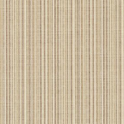 36285 | 434-JUTE