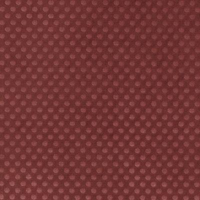 36292 | 290-CRANBERRY