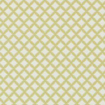 36305 | 212-APPLE GREEN - Upholstery - Fabric