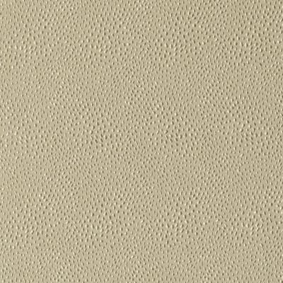 32812 | 587-LATTE - Upholstery - Fabric