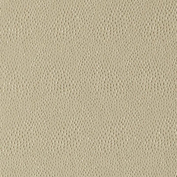 32812 | 587-LATTE - Upholstery - Fabric