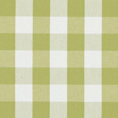 32800 | 21-AVOCADO - Upholstery - Fabric