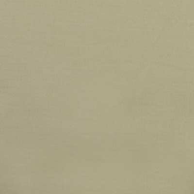 32498 | 243-Honey Dew - Upholstery - Fabric